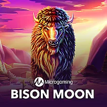 The Dog House - Dog or Alive