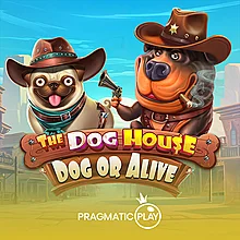 The Dog House - Dog or Alive