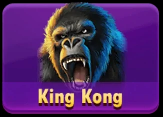 John Hunter And The Galileo Secret's