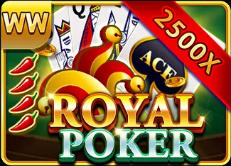 The Dog House - Dog or Alive